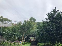 -峨眉山报国寺