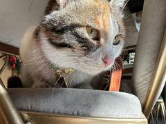 -后海16号·北京私房菜