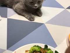 -芭比堂动物医院广州顽皮分院