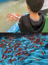 -萌宠亲子动物乐园(槐房万达店)