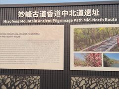 -阳台山自然风景区