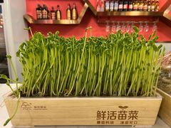 -辛香汇(飞洲店)