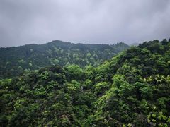 -四明山国家森林公园
