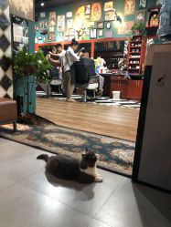 -男人味男士理发馆barbershop