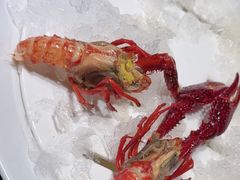 -红盔甲·小龙虾(人民广场店)