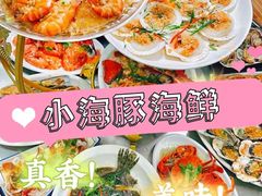 -亚龙湾热带天堂森林公园