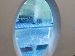 -三煮纸包鱼(青岛总店)