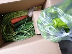 -光明食品集团有限公司