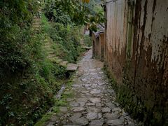-杨家堂村