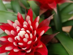 -比亚森自助烤肉料理(裕华店)