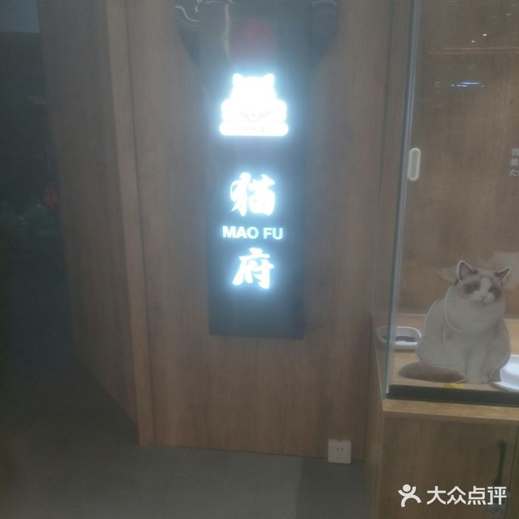 可爱的小猫咪🐱