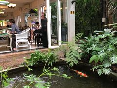 -Fern Forest Cafe