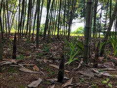 -福建鲤鱼洲酒店