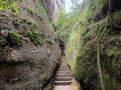 -冠豸山景区
