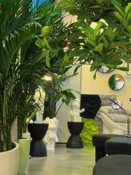 -茉柠Morning Nails