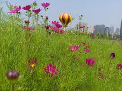 -味多美蛋糕(潘家园店)