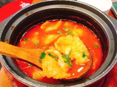 -周鱼小馆石锅酸菜鱼(活力汇店)