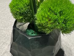 -南堂馆·新川菜(春熙路店)