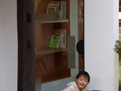 -日出青木