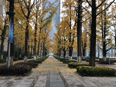 -百林公园-两江幸福广场