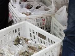 -金太粽(上海弄堂第一粽店)