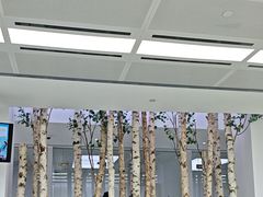 -极简口腔(总院)