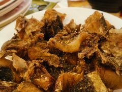 -活鱼馆(宜兴埠店)