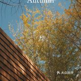 魔都秋天最火的银杏咖啡店