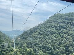 -栾川竹海野生动物园