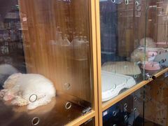 -FAELING PETS美天灵宠物(富力广场店)