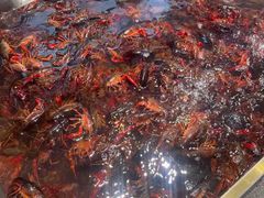 -半岛听涛蒸汽海鲜自助(K11店)