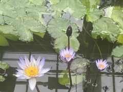 -国家植物园南园