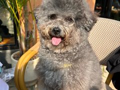 -夏朵餐厅(丁香店)