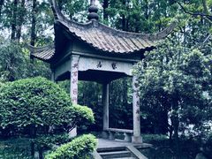 -亭林公园