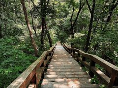 -三块石国家森林公园