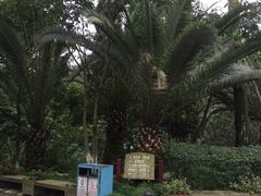 -鱼凫国都大酒店温泉