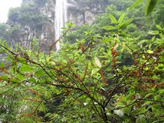 -华蓥山天意谷景区