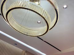 -普天和酒楼·新津菜·烤鸭(天津之眼店)