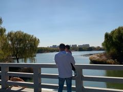 -大兴滨河森林公园