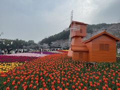 -苏州上方山国家森林公园