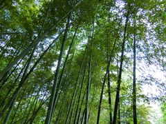 -达蓬山旅游度假区