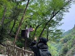 -洛阳白云山景区
