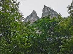 -鹿院坪生态旅游景区