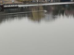 -桃花岛公园