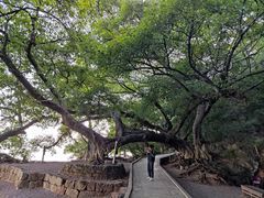 -抚仙湖禄充风景区