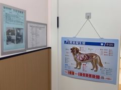 -瑞派康怡24h宠物医院·犬猫医疗中心·微创绝育(瑞景分院)