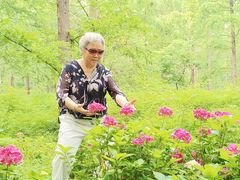 -黄海国家森林公园