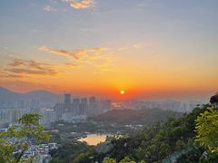 -板樟山森林公园