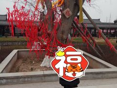 -西安汉城湖景区