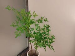 -成都ins星空塔酒店(春熙路天府广场店)